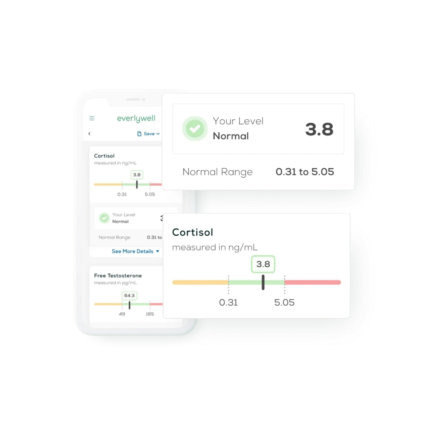 Everlywell Metabolism Test - At-Home Collection Kit | CLIA-Certified Lab Results in Days | Ages 18+