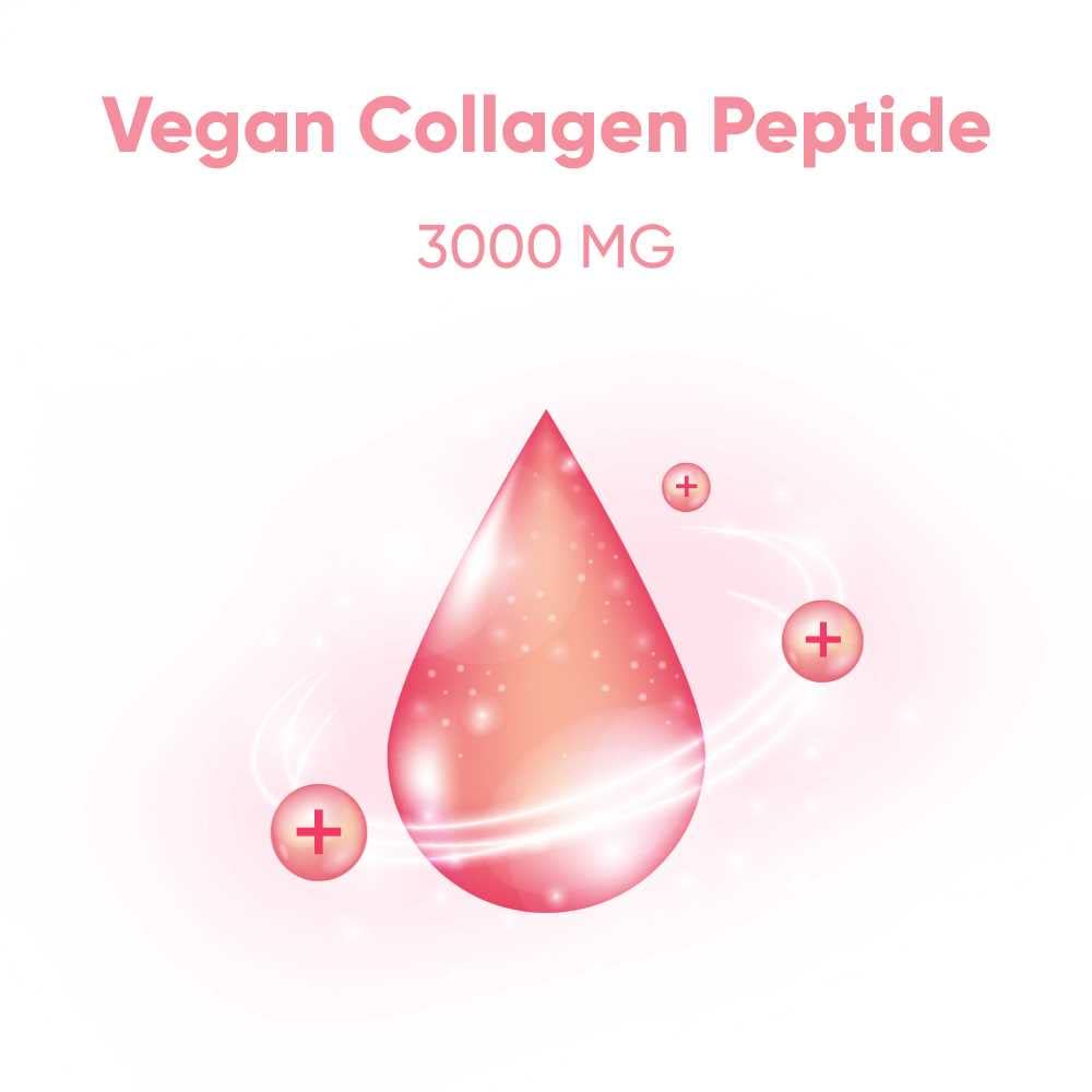 EVERYDAZE Essential Collagen Jelly Stick — 40 Pack (4 x 10ct) | Vegan Collagen Peptide, Pomegranate Flavor