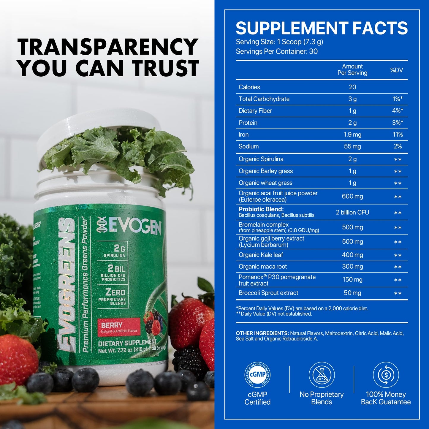 Evogen Evogreens - Super Greens Powder | Recovery, Wellness & Immunity | Berry | 30 Servings