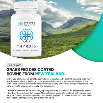 Evolved Elements Thyroid – Raw Grass-Fed Desiccated NZ Sourced, 60 Capsules | Non-GMO Energy & Metabolism Support