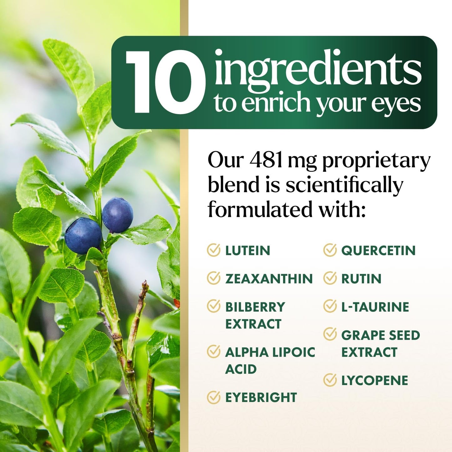 Eye Vitamins & Mineral Supplement – Lutein, Zeaxanthin, Zinc (120 Capsules)