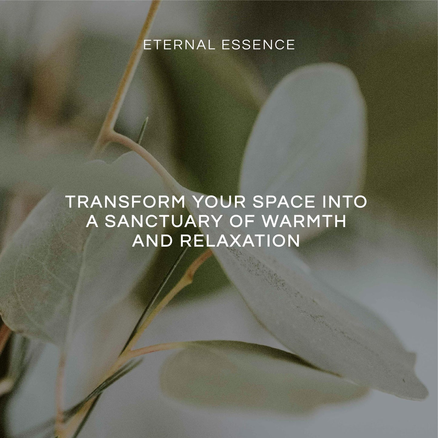 Eternal Essence Oils Far East Set – 6 Premium Fragrance Oils (10ml each)