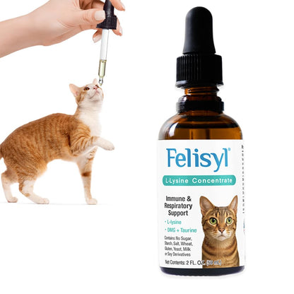 Felisyl L-Lysine for Cats – 2 oz Immune & Respiratory Support (FHV-1) – Made in USA