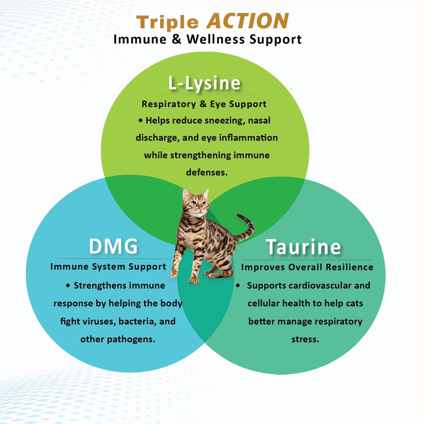 Felisyl L-Lysine for Cats – 2 oz Immune & Respiratory Support (FHV-1) – Made in USA