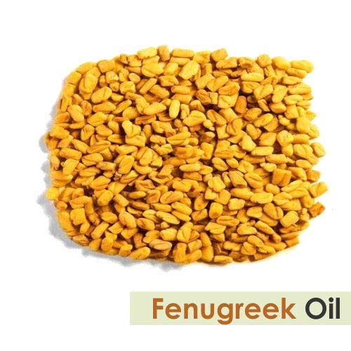 Fenugreek Essential Oil 15ml – 100% Pure & Natural, Undiluted