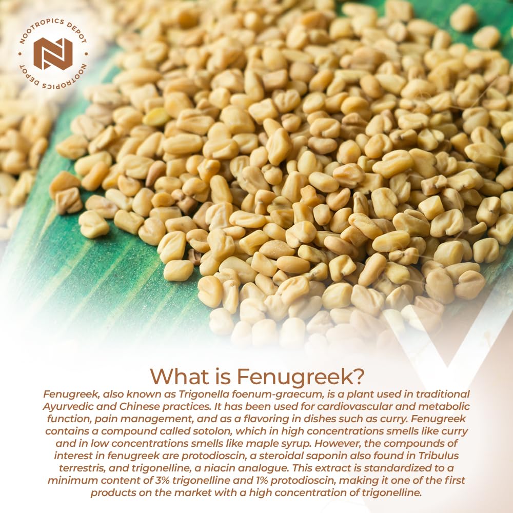 Nootropics Depot Fenugreek Extract Capsules 500mg – 180 ct | 3% Trigonelline, 1% Protodioscin | Mood, Fitness & Metabolic Support