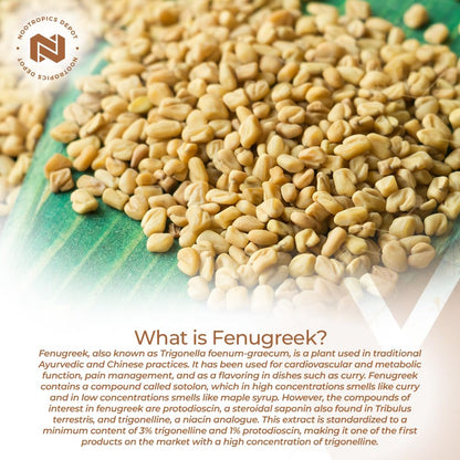 Nootropics Depot Fenugreek Extract Capsules 500mg – 180 ct | 3% Trigonelline, 1% Protodioscin | Mood, Fitness & Metabolic Support