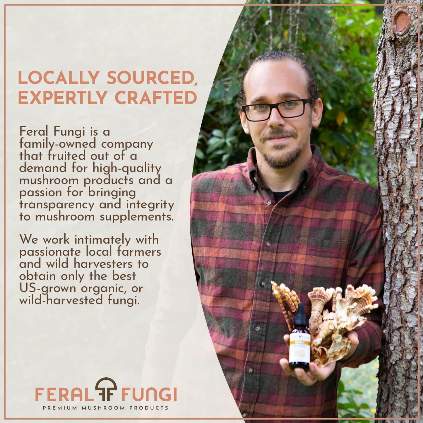Feral Fungi Myco-Vitality Tincture – 100% Pure USA Mushroom Extract 1 oz