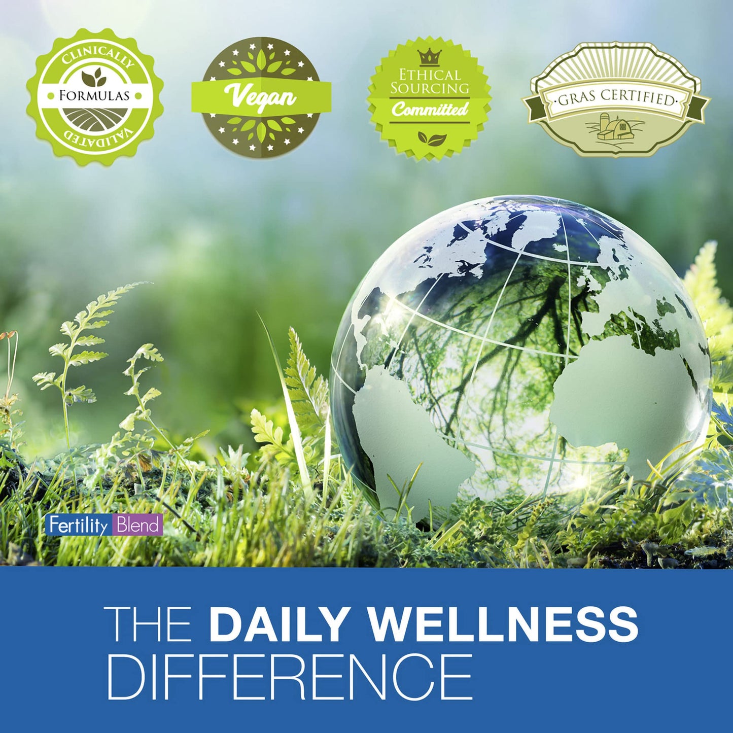 Fertility Blend Daily Wellness for Men — Natural Male Fertility Supplements, 60 Capsules (3 Pack)