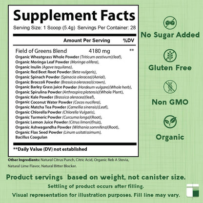 Field of Greens Superfood Powder – Organic Spirulina, Chlorella & Beet Root, Probiotic, 28 Scoops
