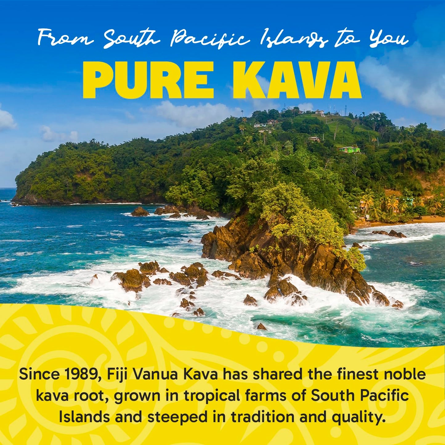 Fiji Vanua Kava Vanuatu Powder – Premium Noble Kava Root, Medium Grind, 16 oz
