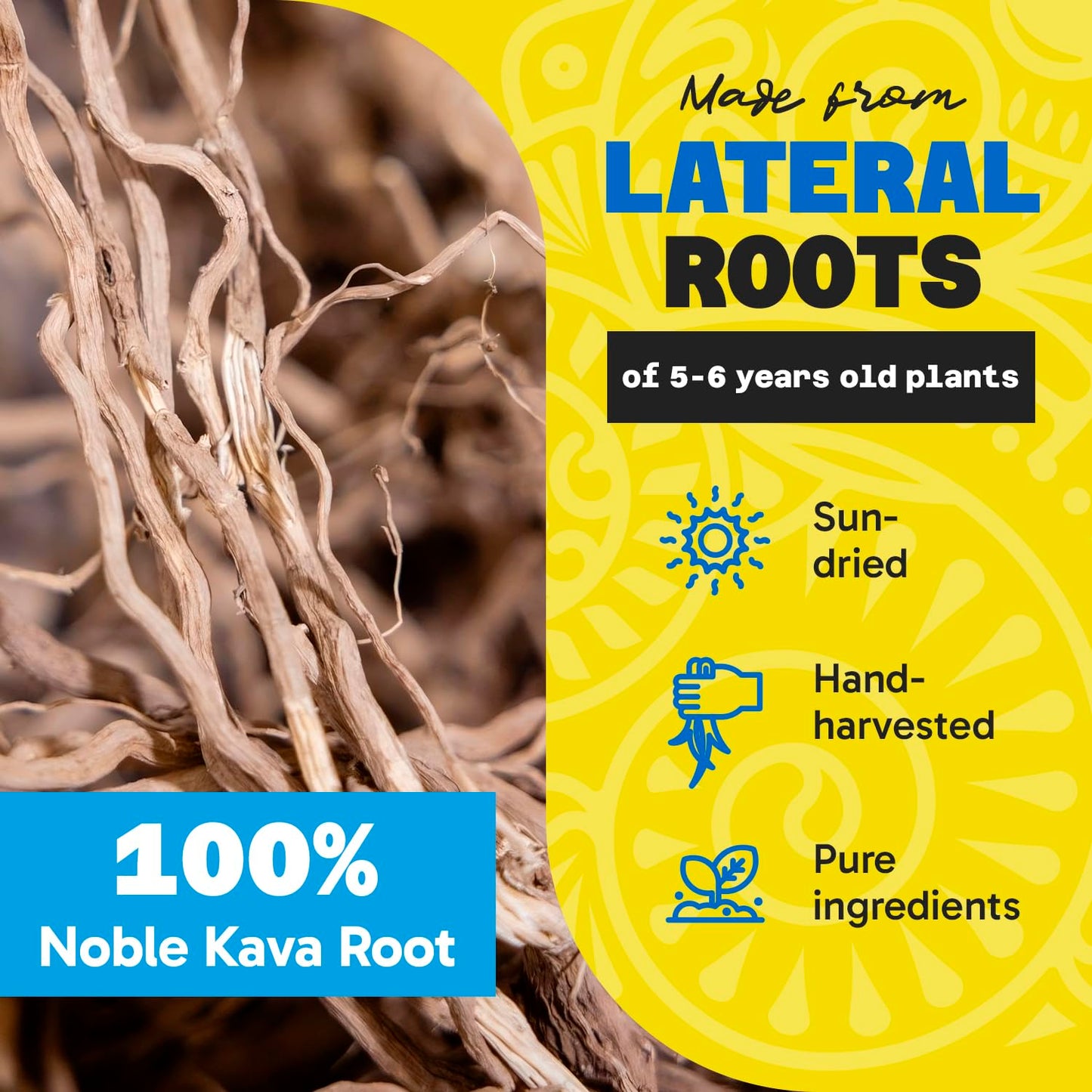Fiji Vanua Kava Vanuatu Powder – Premium Noble Kava Root, Medium Grind, 16 oz