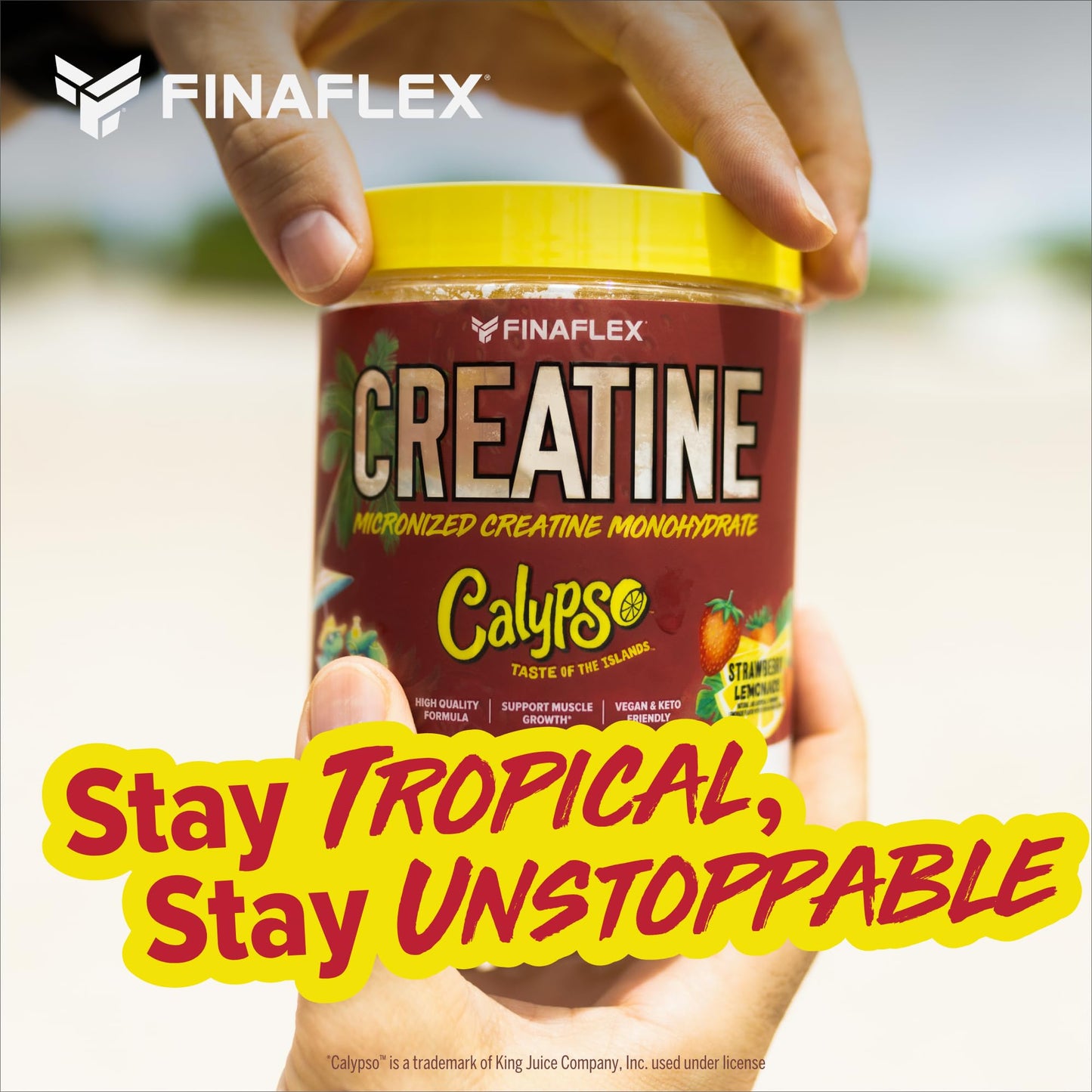 FINAFLEX Pure Creatine + CALYPSO Strawberry Lemonade 7.5 oz | 5g Creatine Monohydrate | 30 Servings