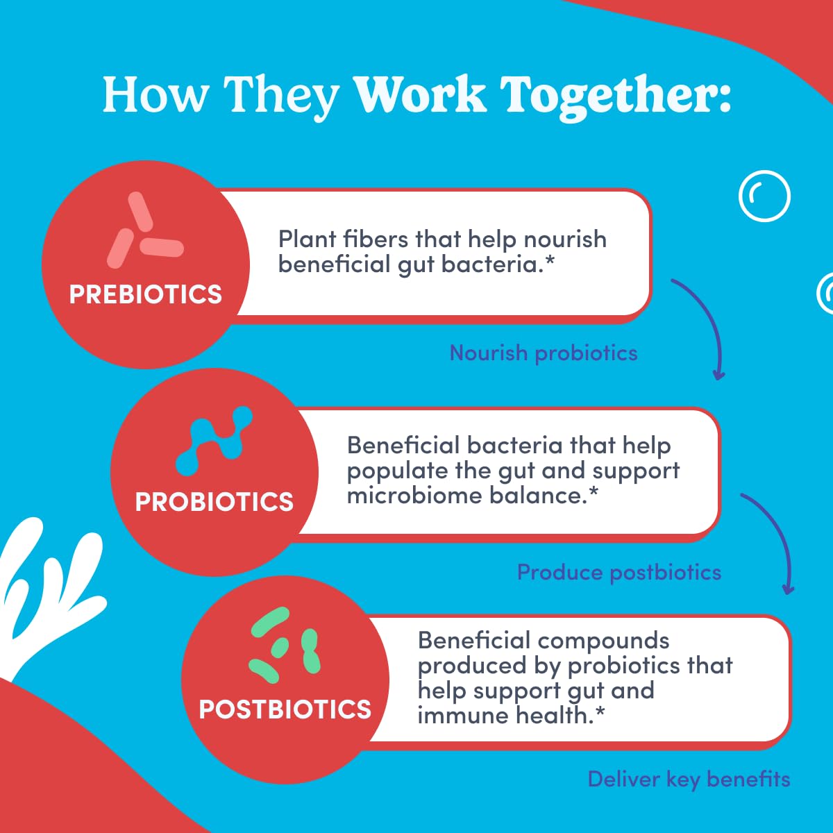 FIRST DAY Teens’ Gut Sustainer Gummies – 3-in-1 Prebiotic, Probiotic & Postbiotic