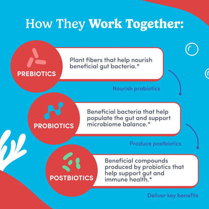 FIRST DAY Teens’ Gut Sustainer Gummies – 3-in-1 Prebiotic, Probiotic & Postbiotic