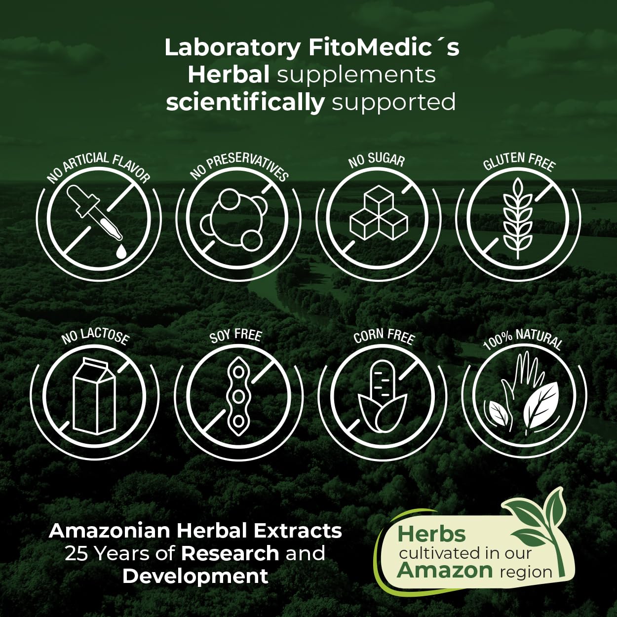 FITO MEDIC'S Lab | Turmeric and Ginger Supplement | 6000 mg | 180 Caps | Ultra High Absorption