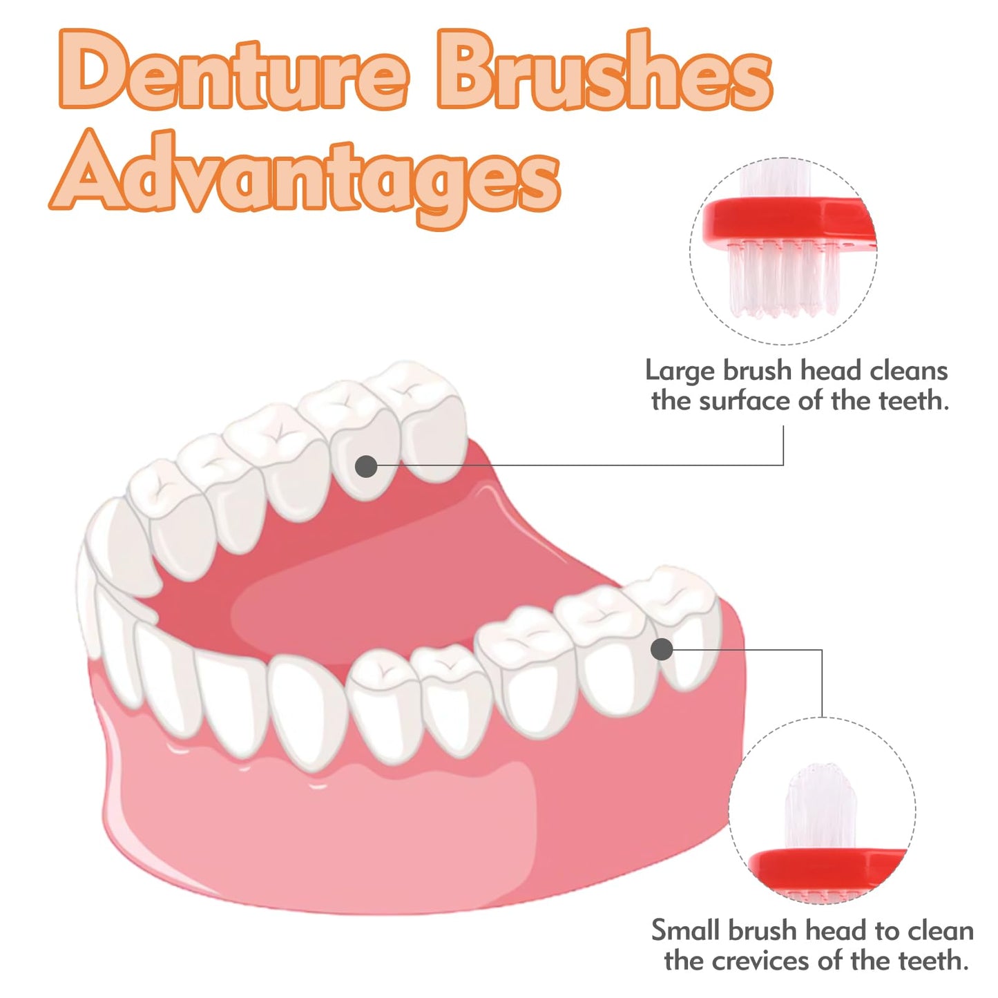 FLATRI 6 Pack Portable Denture Brush – Dual-Headed Hard Bristle Toothbrush for Dentures, False Teeth, Braces & Mouth Guards