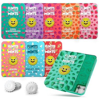 Flintts Mints Full House – Sugar Free Dry Mouth Mints for Fresh Breath | Vegan