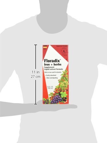 Floradix Iron & Herbs – Liquid Iron Supplement with Vitamin C & B Complex | 23.7 fl oz