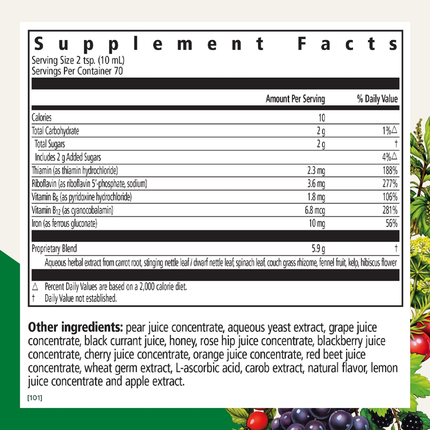 Floradix Iron & Herbs – Liquid Iron Supplement with Vitamin C & B Complex | 23.7 fl oz