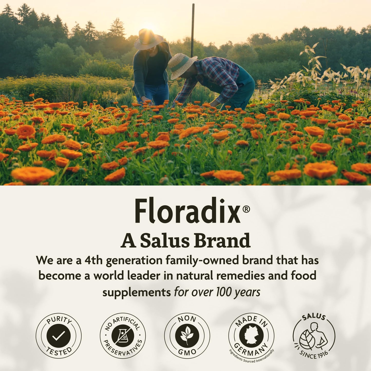 Floradix Floravital Liquid Iron & Vitamin Formula – Vegan, Gluten-Free, Non-GMO (16.9 fl oz)