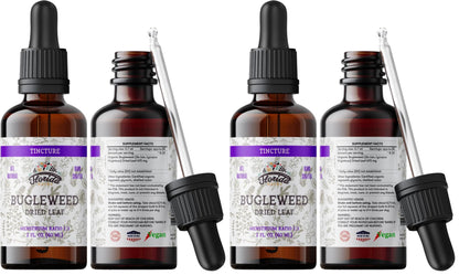 Florida Herbs Bugleweed Tincture - Organic Bugleweed Extract, Non-GMO, 2 oz Pack of 2