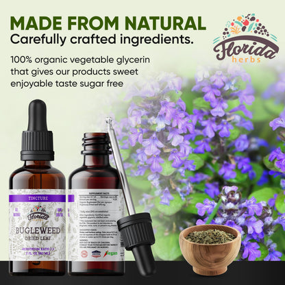 Bugleweed Tincture - Organic Florida Herbs, 2 oz (700 mg) - Non-GMO