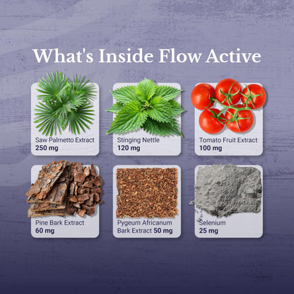 Flow Active Prostate Health for Men – Saw Palmetto, Pine Bark & Selenium | 30 Capsules | NATION HEALTH MD