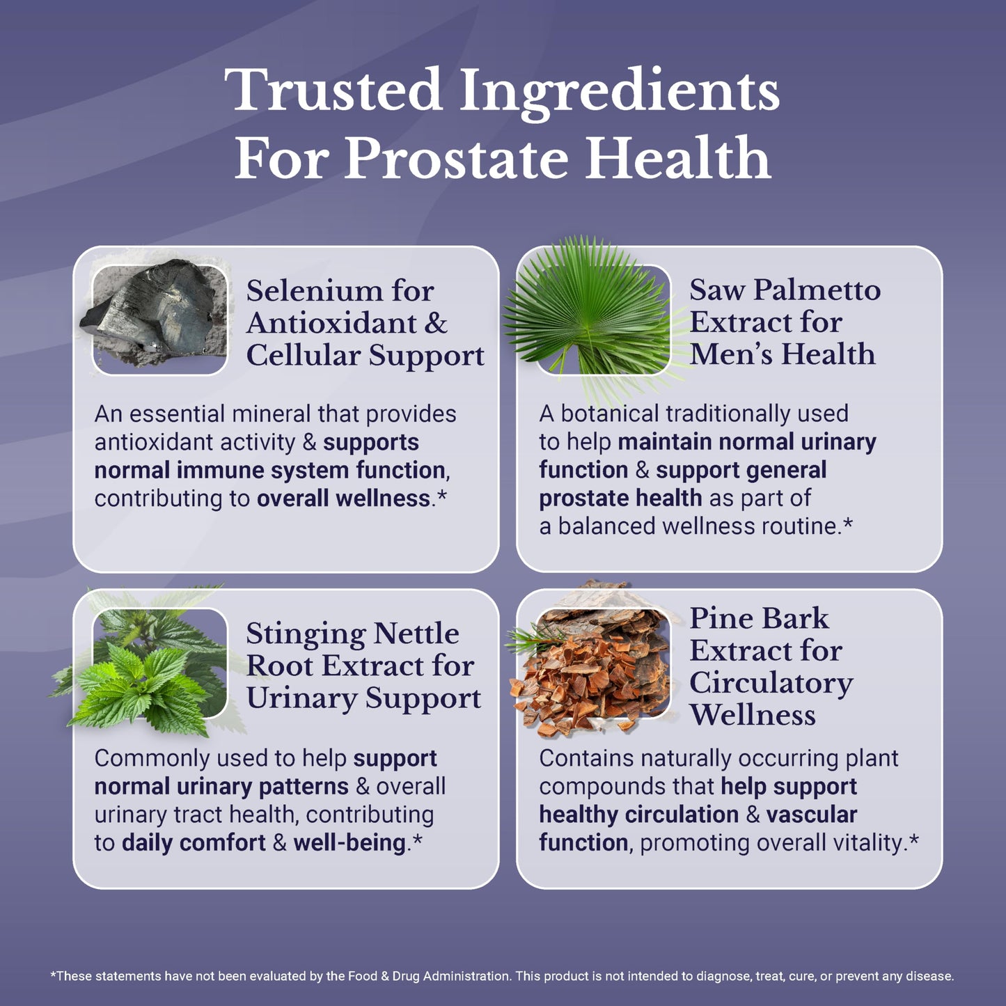 Flow Active Prostate Health for Men – Saw Palmetto, Pine Bark & Selenium | 30 Capsules | NATION HEALTH MD