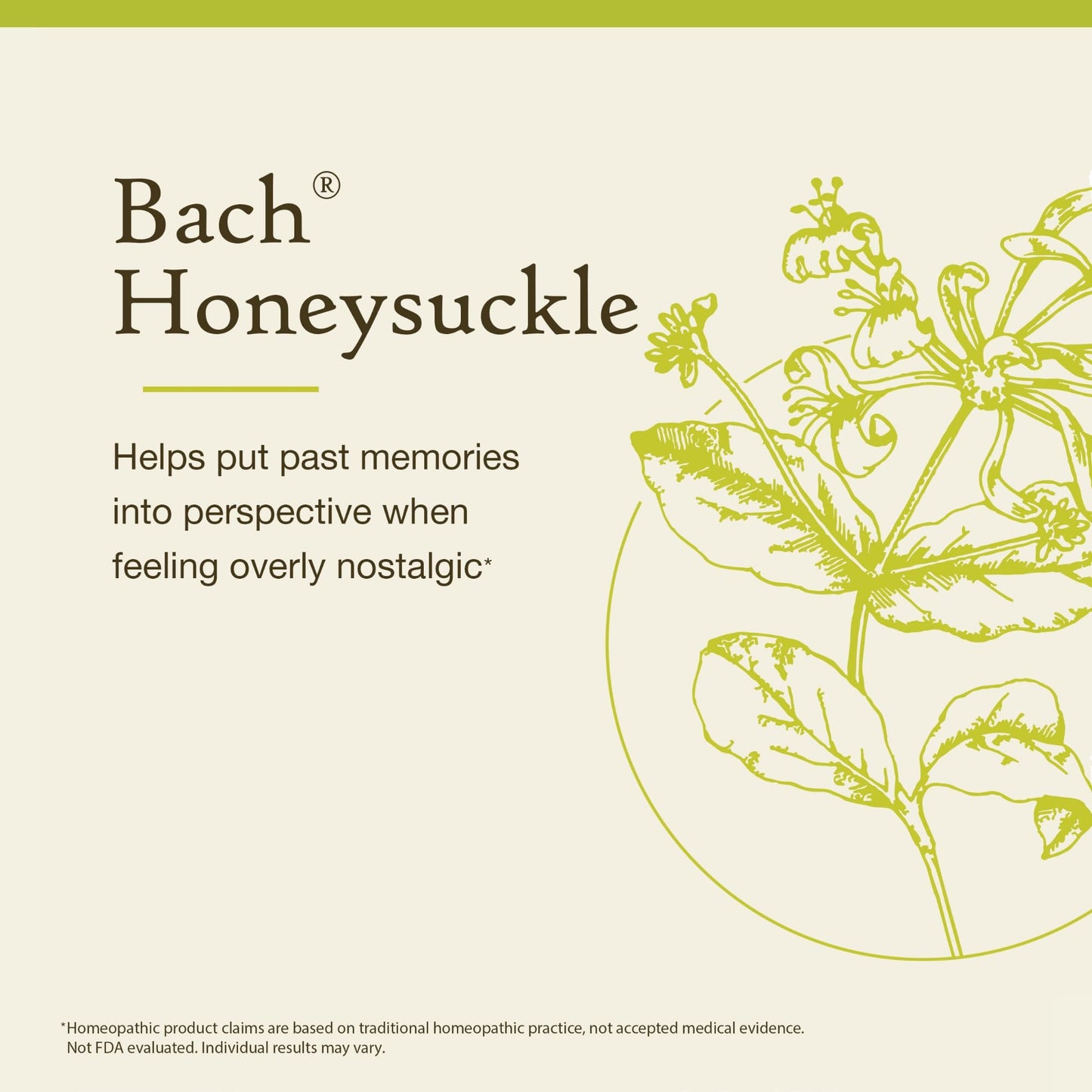 Bach Honeysuckle – Embrace The Now | Flower Remedy for Emotional Balance, 20mL