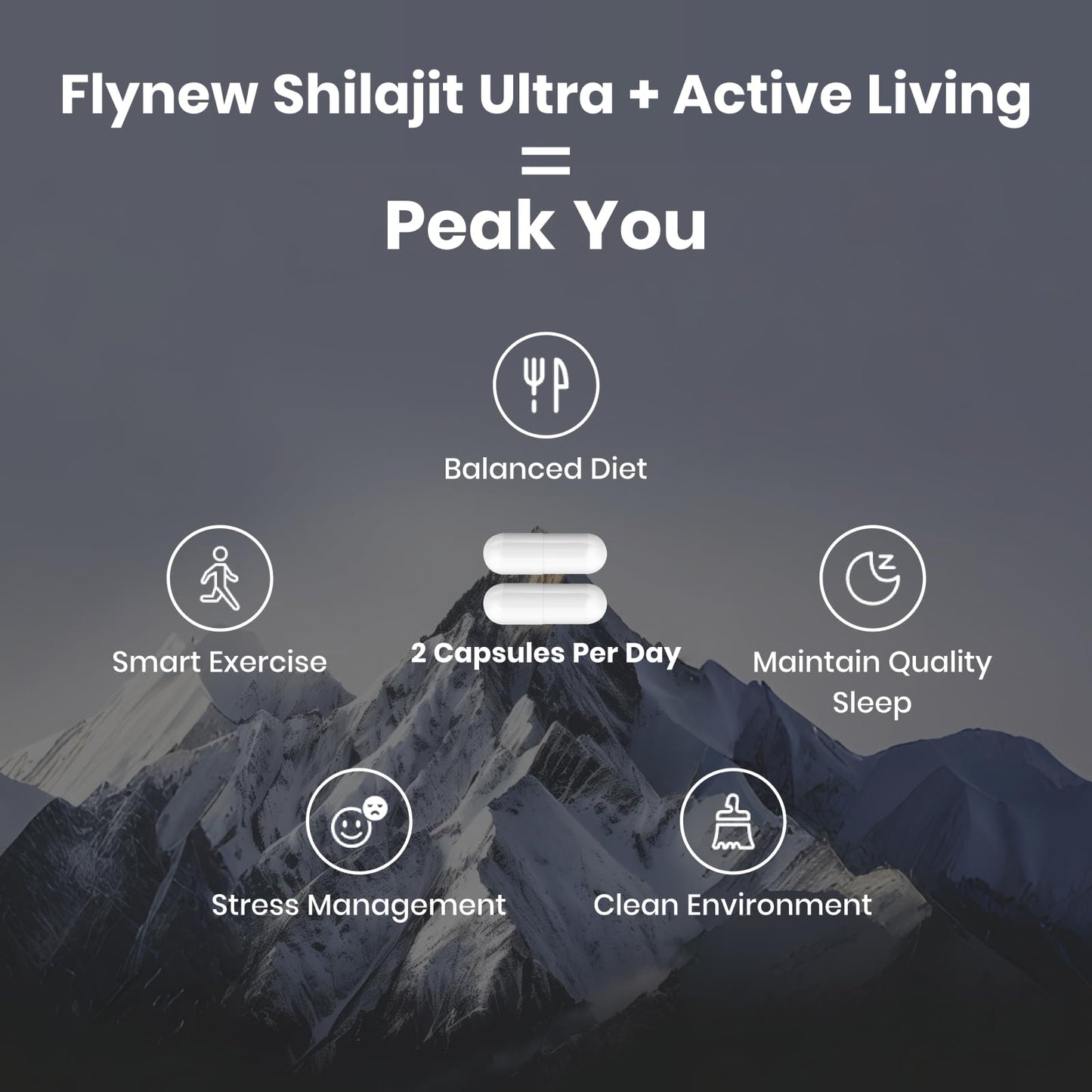 Flynew Shilajit — Premium Fulvic Acid Shilajit with L-Arginine, 60 Capsules, Made in USA