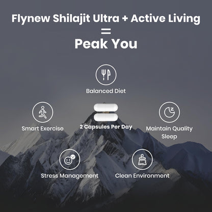 Flynew Shilajit — Premium Fulvic Acid Shilajit with L-Arginine, 60 Capsules, Made in USA