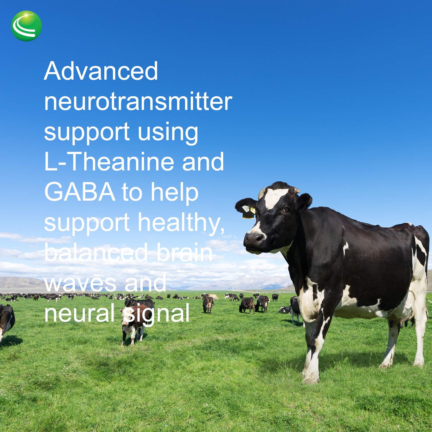 Nutra Biogenesis Focus Fizz – GABA L-Theanine Powder for Calm Focus