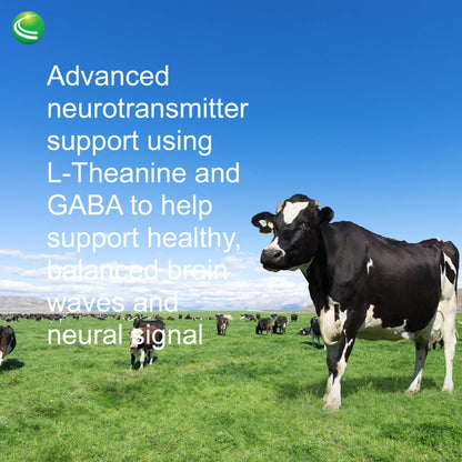Nutra Biogenesis Focus Fizz – GABA L-Theanine Powder for Calm Focus