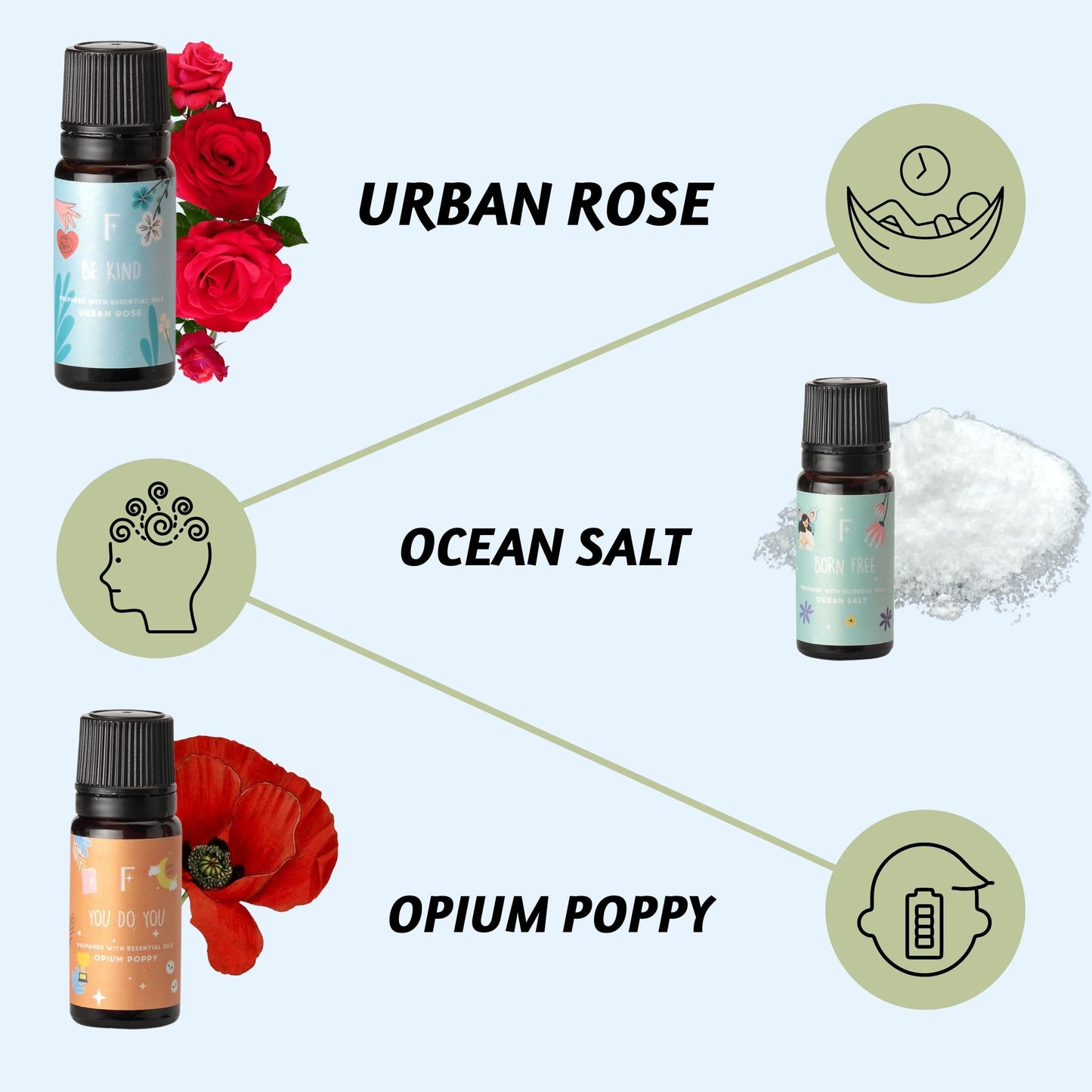Folkulture Essential Oils for Diffuser – Set of 6 Fragrances (Green Tea, Ocean Salt)