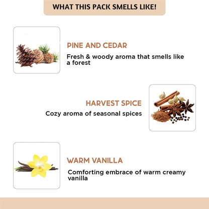 Folkulture Fall Essential Oils Diffuser Set – 6x0.34 fl oz (60 ml) Pumpkin Spice / Pumpkin Pie Scent