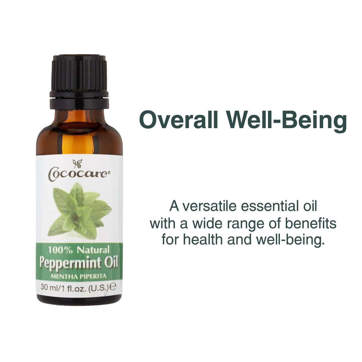 Cococare 100 Percent Peppermint Oil - Essential Oil for Aromatherapy - 1 Fl Oz