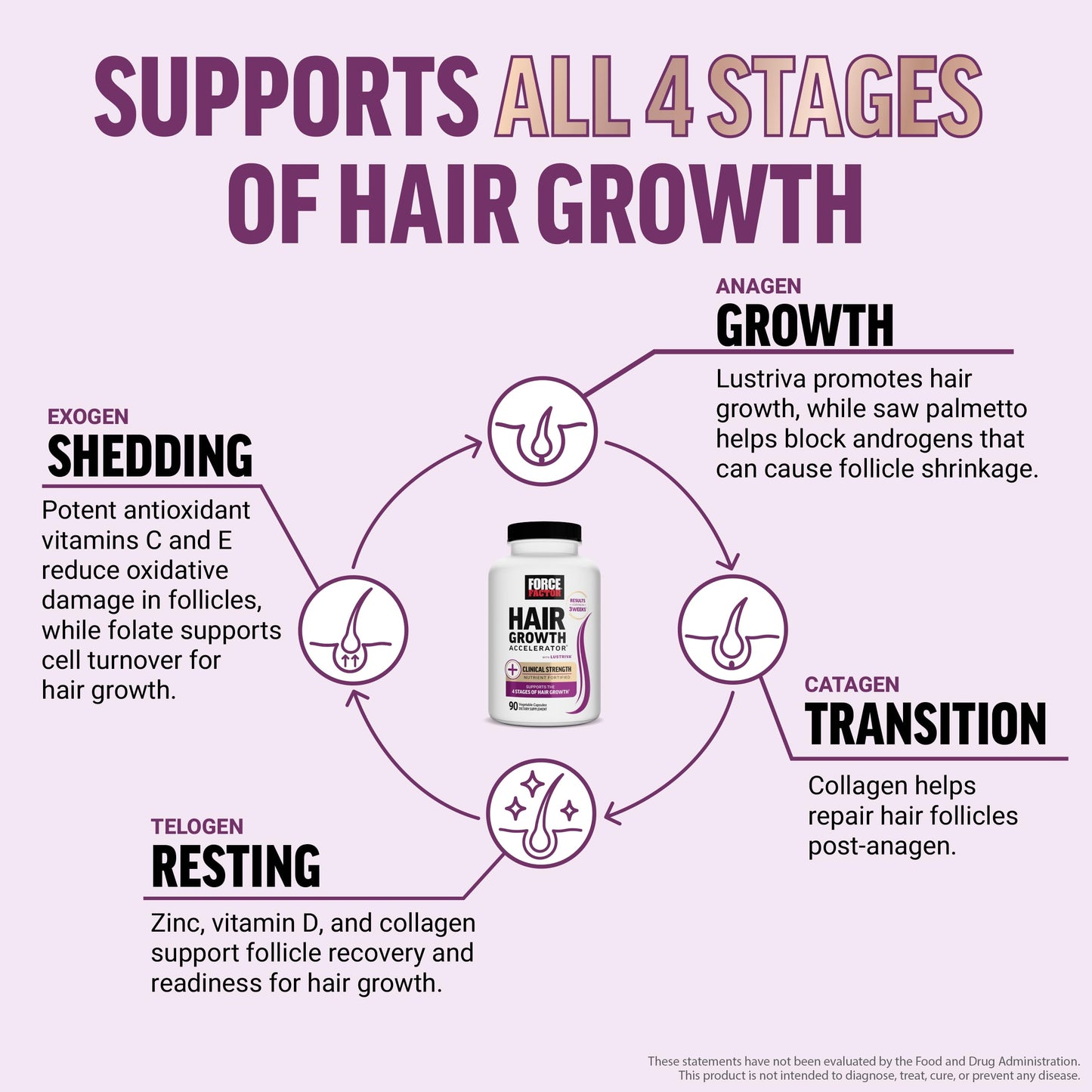 Force Factor Hair Growth Accelerator Multivitamin – Lustriva, Biotin & Vitamins A–E, 90 Capsules