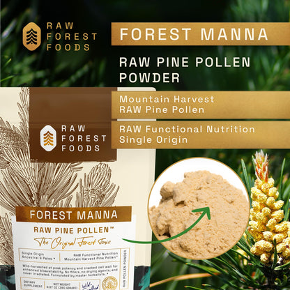 Forest Manna RAW Pine Pollen Powder – Adaptogenic Nutrition | Single Origin, 280g Pouch