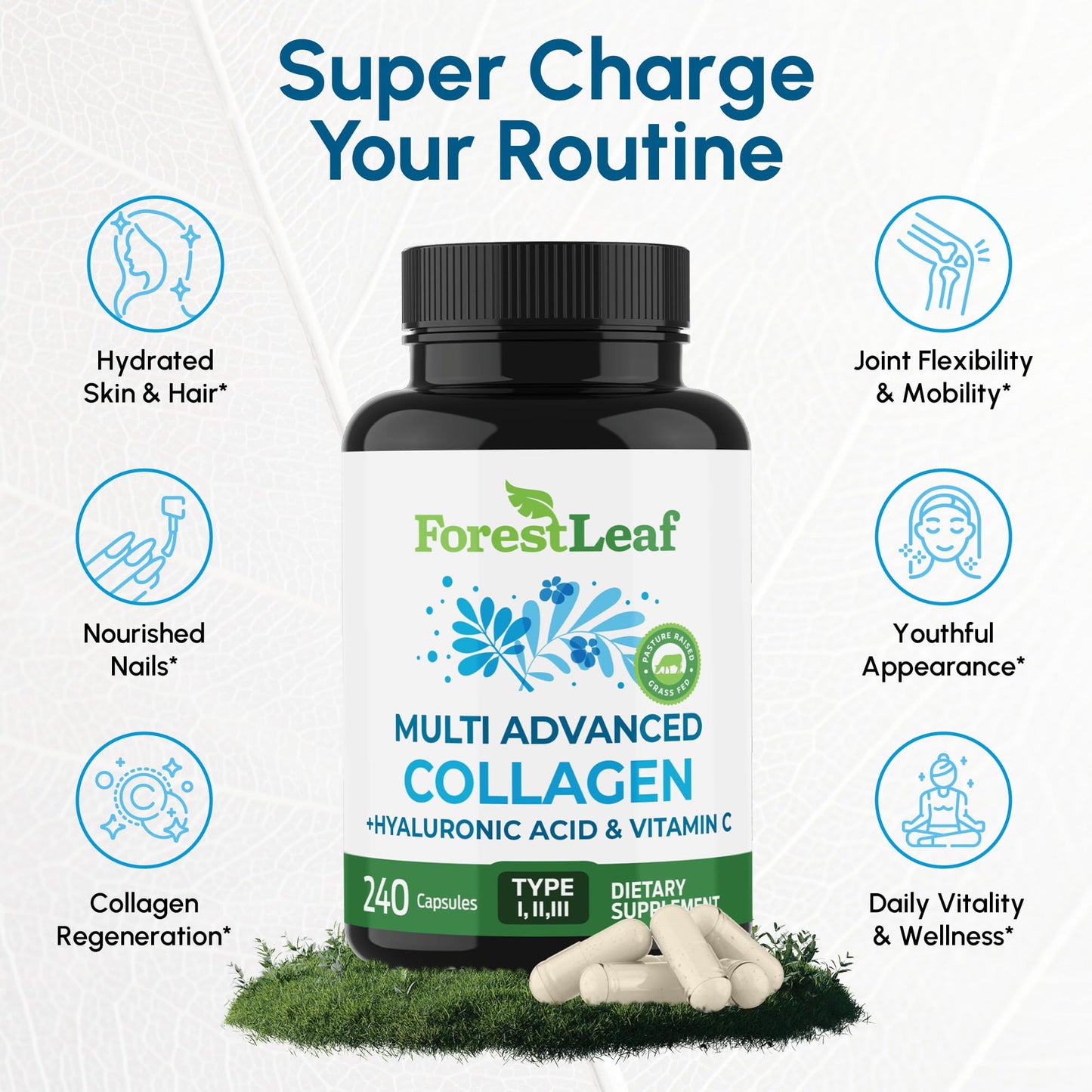 ForestLeaf Multi Collagen Pills — Hydrolyzed Collagen with Vitamin C & Hyaluronic Acid (240 Capsules)