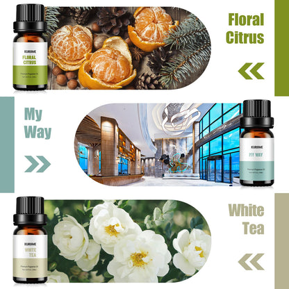 Fragrance Oils Hotel Collection Diffuser Oil Set – Luxury Night, Jasmine & Mint, Lemon & Thyme, White Tea, Floral Citrus, My Way
