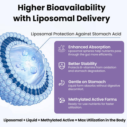 Franguly Liposomal Vitamin B Complex Liquid | High Absorption B-Complex
