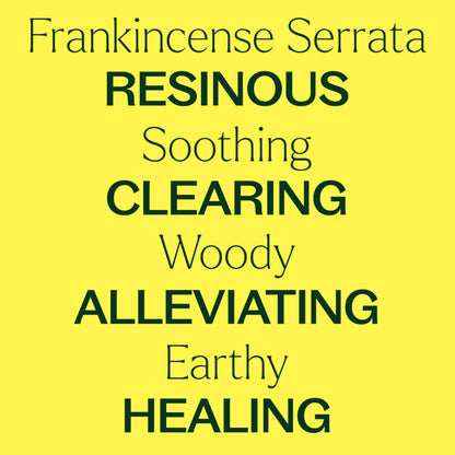Plant Therapy Frankincense Serrata Essential Oil – 100% Pure, 10 mL