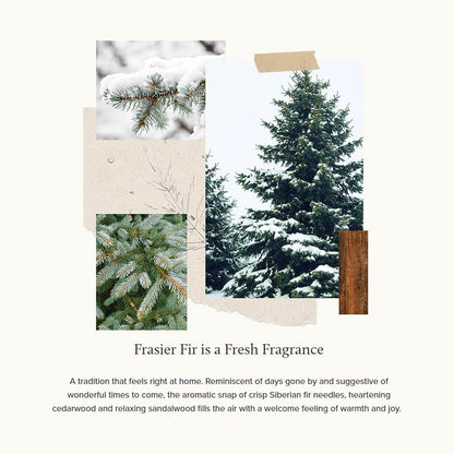 Thymes Frasier Fir Candle – Gilded Collection, 11 oz Wood Grain Ceramic with 24K Gold Rim