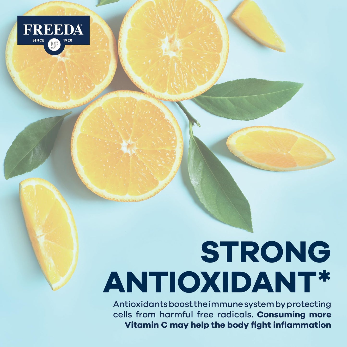 Freeda Buffered Vitamin C Powder – Gentle on Stomach | Kosher & Vegan (16 oz)