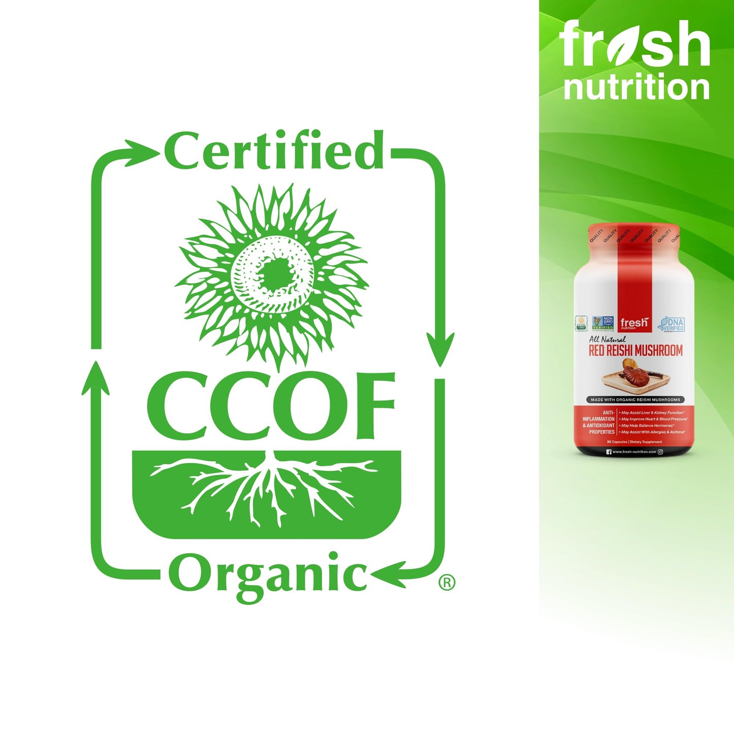 Fresh Nutrition Organic Reishi Mushroom Capsules – Alpha-Glucan Rich Ganoderma Lucidum, 1500mg Serving, Third-Party Tested – 90 Veggie Caps (Pack of 2)