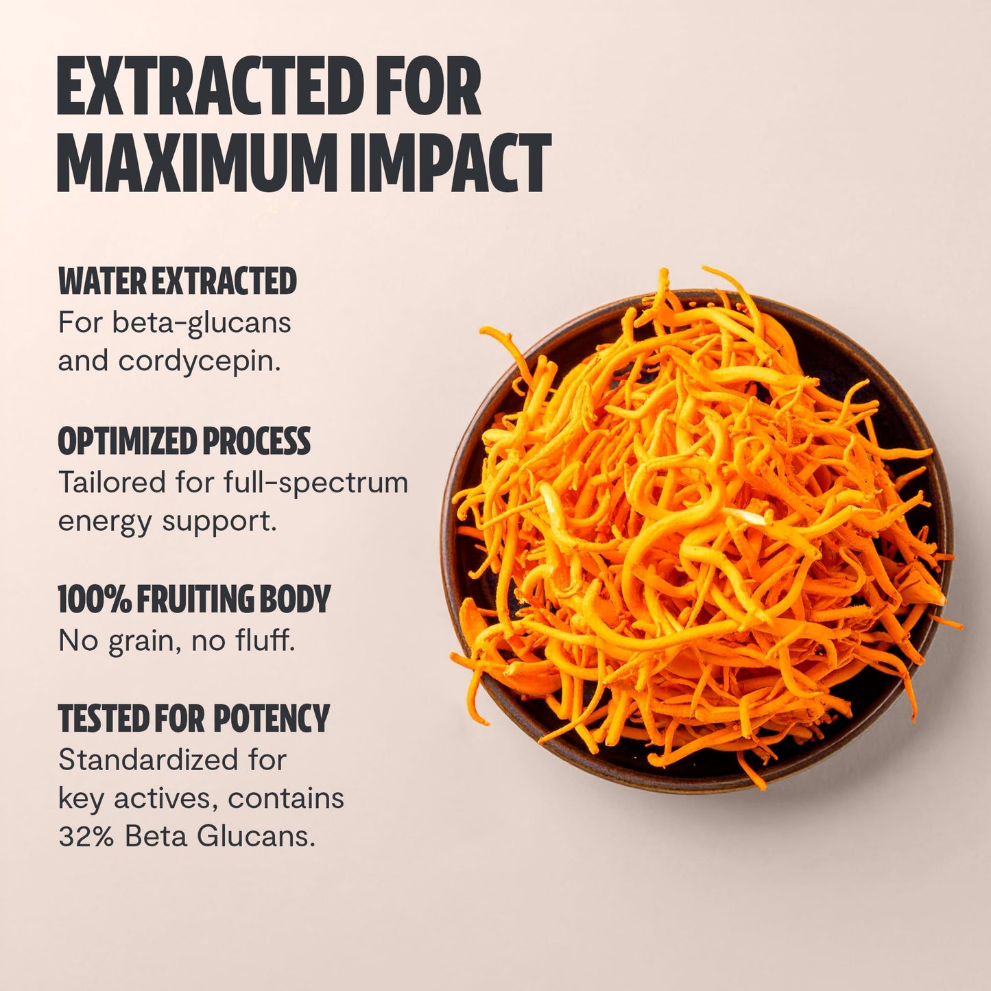 FreshCap Mushrooms Cordyceps Capsules 10,000mg | Energy Support & Nootropic