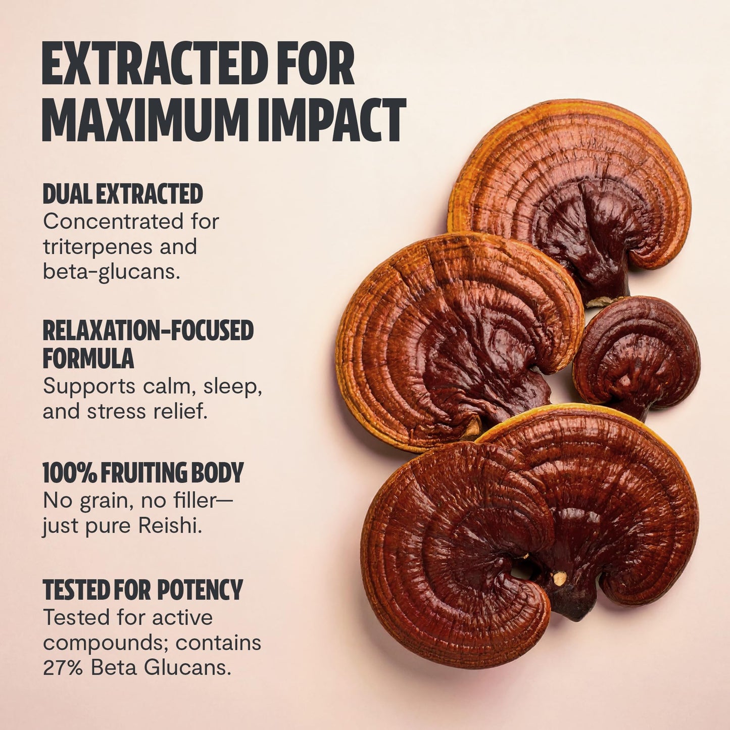 FreshCap Mushrooms Reishi Supplement 14,000mg per Serving | Dual-Extracted Capsules