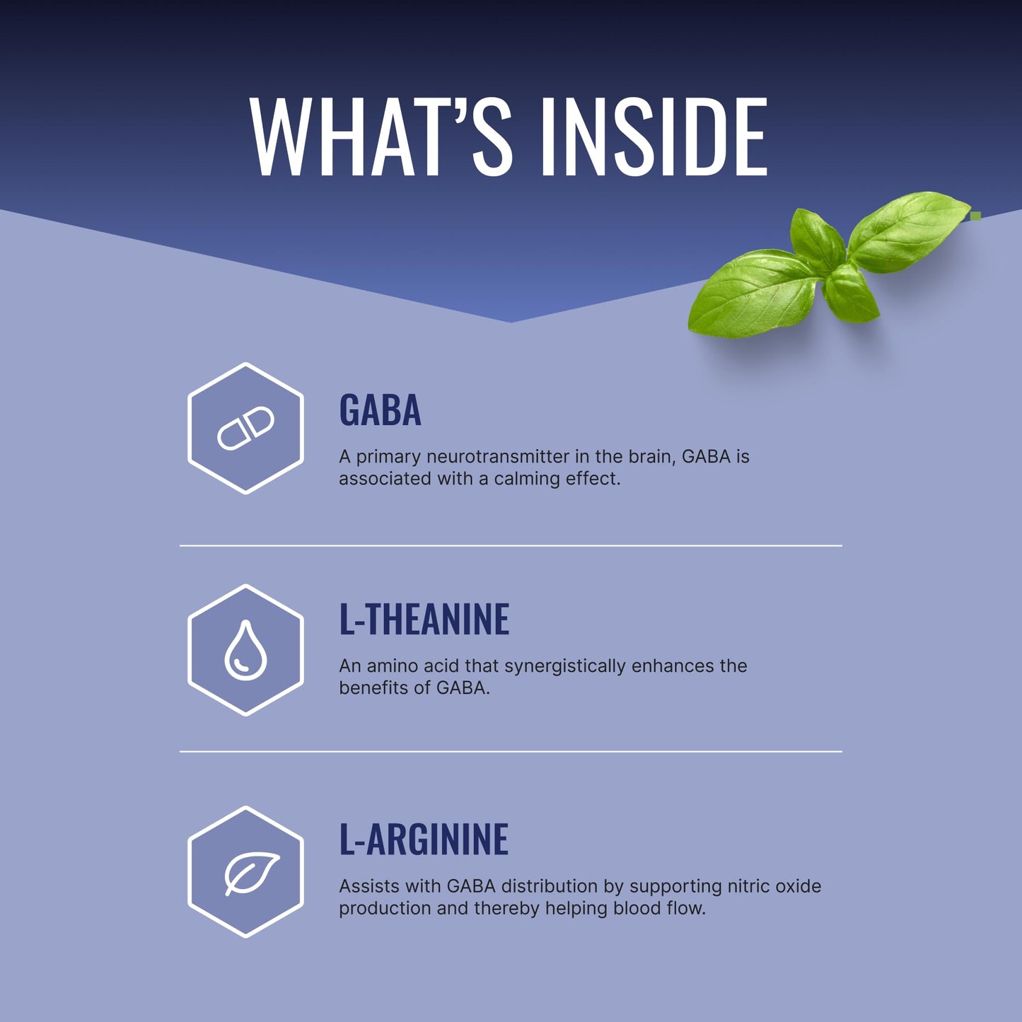 Approved Science GABA+ | Calm, Sleep & Mood Support | 600mg GABA + L-Theanine | 360 Vegan Capsules