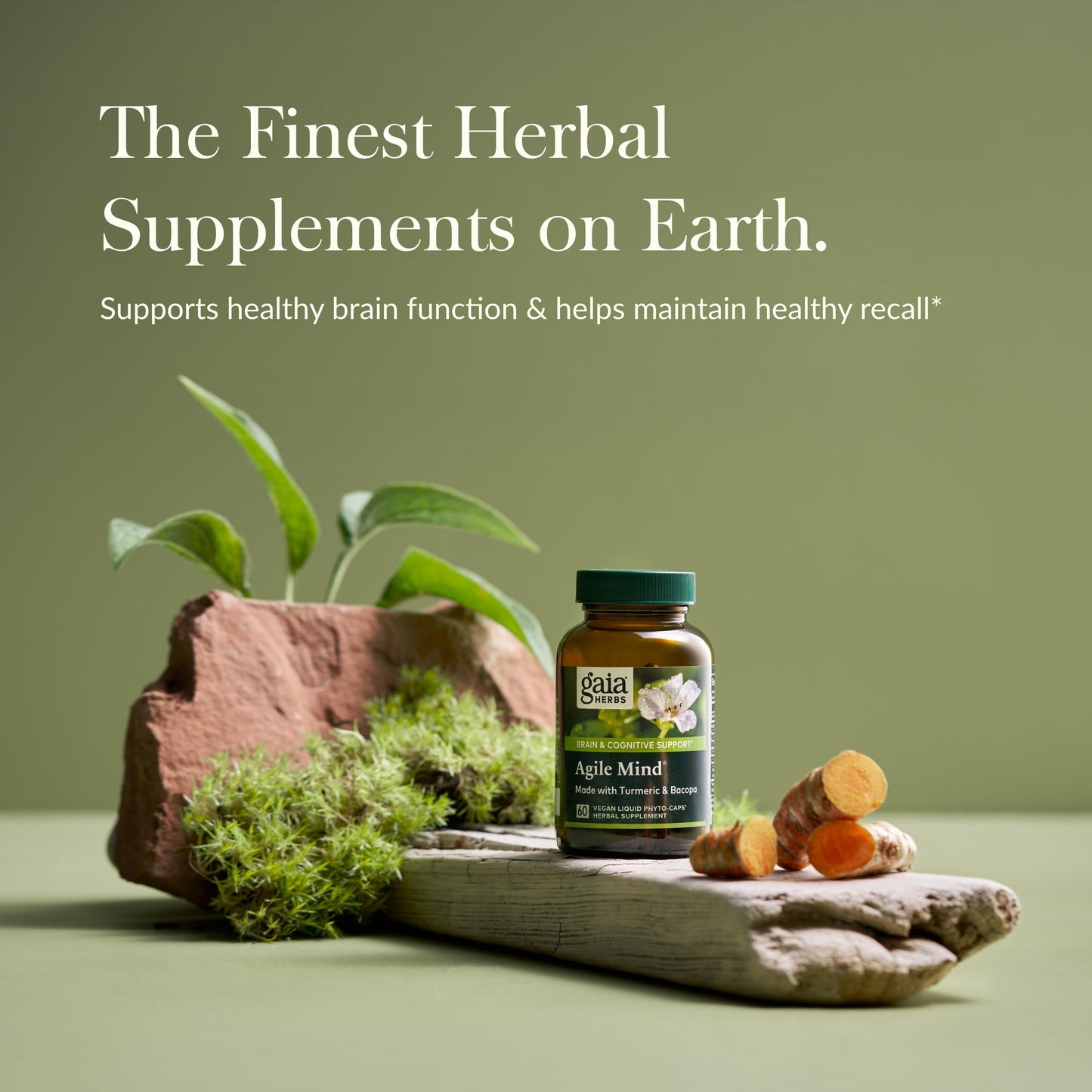 Gaia Herbs Agile Mind – Brain Support with Turmeric, Bacopa, Black Pepper & Ginkgo Biloba | 60 Vegan Liquid Phyto-Capsules